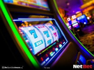 89p|Bingo Online – Experimente Grátis no Apostas Online